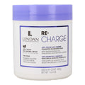 Vegan Recharge Mask – Intensive Nutrition and Color Neutralization, 16.4 Ounce